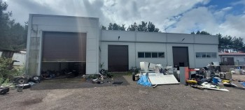 Syndyk sprzeda - Amelin