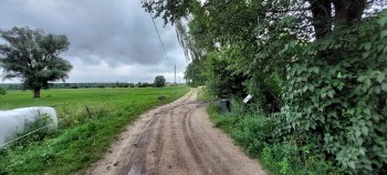 Syndyk sprzeda - Ponikiew Duża