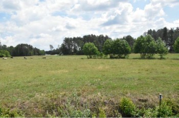 Syndyk sprzeda - Tartak i Sul, nieruchomość gruntowa 2,0711 ha