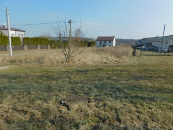 Syndyk sprzeda - Mogielnica, dz. nr 1653/2