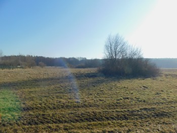 Syndyk sprzeda - Mogielnica, dz. nr 1658 i 1747