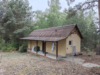 Syndyk sprzeda - Łacha