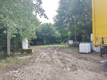 Syndyk sprzeda - Stegna